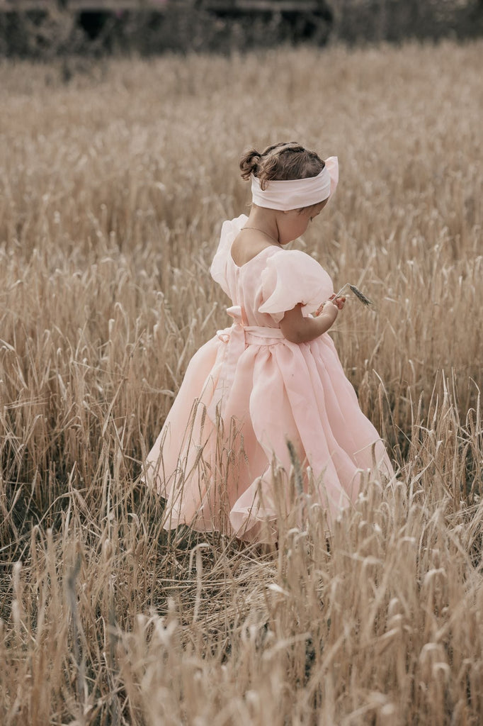 Organza - Dress