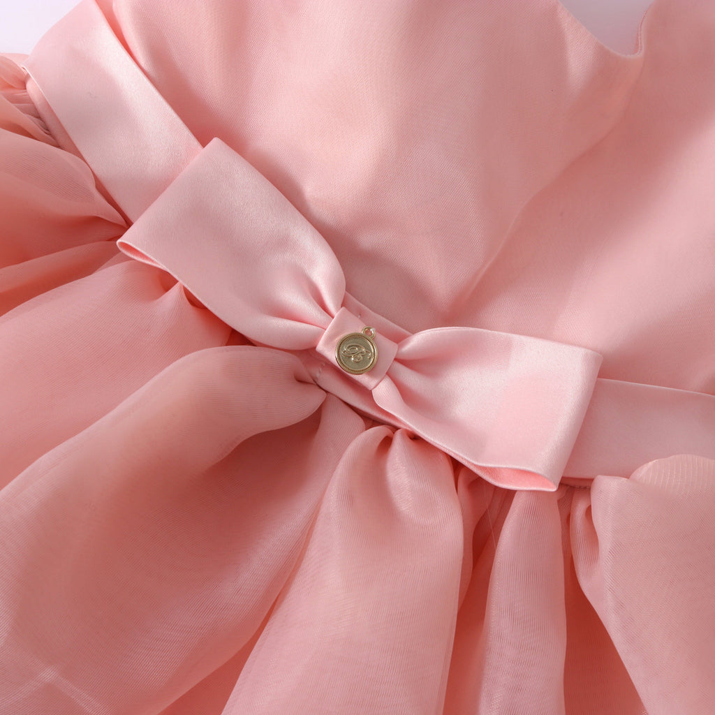 bebe organza dress Puffy Dress for Girl, Birthday Baby Girl Dress, Organza Girl Dress, 1st Birthday Girl Gown, Puffy Sleeve Dress